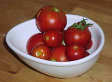 small_tomatoes.jpg